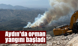 Aydın'da orman yangını başladı
