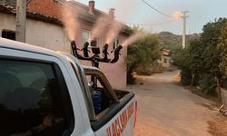 Germencik’te sivrisinekle mücadele aralıksız sürüyor