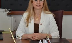 Işıklı Kavşağı'na üst geçit istiyorlar