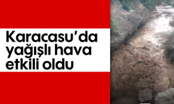 Karacasu'da yağışlı hava etkili oldu