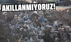Karacasu ilçe merkezi çöplüğe döndü