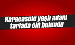 Karacasulu yaşlı adam tarlada ölü bulundu