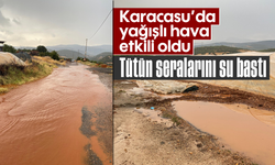 Karacasu'da yağışlı hava etkili oldu: Tütün seralarını su bastı
