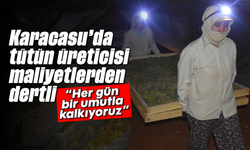 Karacasu'da tütün üreticisi maliyetlerden dertli