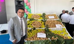 Nazilli'de sezonun ilk kuru inciri 1000 TL'den alındı