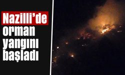 Nazilli’de orman yangını başladı