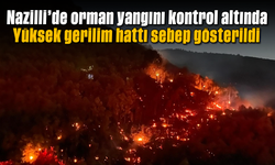 Nazilli’de orman yangını kontrol altında: Yüksek gerilim hattı sebep gösterildi