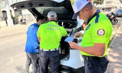 Nazilli'de cezalar yağmur gibi yağdı