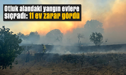Otluk alandaki yangın evlere sıçradı: 11 ev zarar gördü