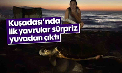Kuşadası’nda ilk yavrular sürpriz yuvadan çıktı