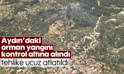 Aydın’daki orman yangını kontrol altına alındı