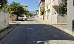 Aydın'da vatandaşlar korkudan sokağa çıkamaz oldu