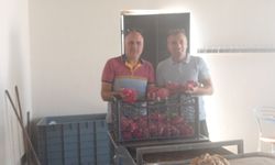 Kocagür’de öğrencilere Ejder meyvesi sürprizi