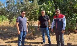 Köşk’te tarımsal zararlılarla mücadele için sahaya indiler