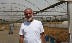 "Kuru incir ihracatında, üretici üzerine kirli oyun iddiası"