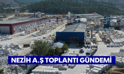 Nezih A.Ş Toplantı Gündemi