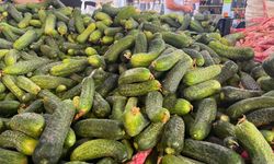 Nazilli Perşembe Pazarı'nda kışa hazırlık başladı