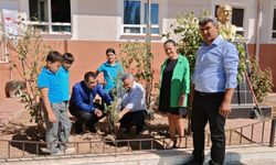 Nazilli’de minik eller yeşil vatan için toprakla buluştu