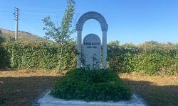 Yenipazar, Efe’sini andı