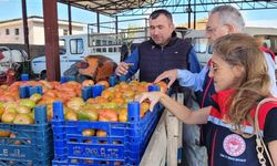 Buharkent’te hasat öncesi pestisit denetimleri sürüyor