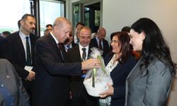 Çerçioğlu'ndan Cumhurbaşkanı Erdoğan’a Aydın inciri ikramı