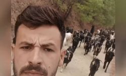 Karacasu'da keçilerini kurt kapan üretici isyan etti