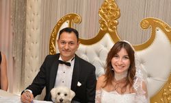 Nazilli’de sıradışı nikah: Damat köpeğini şahit yaptı!