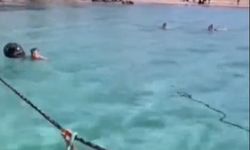 Tekne tutup koyda temizlik yaptılar