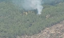 Orman yangını kontrol altına alındı