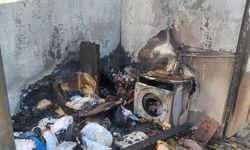 Evde çıkan yangında hayatını kaybetti, 20'den fazla kedi de telef oldu