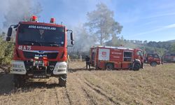 İki ayrı arazi yangını büyümeden söndürüldü