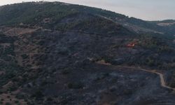 Bozdoğan'daki yangında son durum