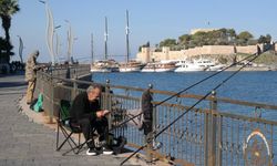 Amatör kıyı balıkçıları oltalarını denizle buluşturdu