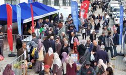Ata tohumlarından üretilen fideler Aydınlılara ulaştırılıyor