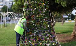 Aydın rengarenk çiçeklerle bezeniyor