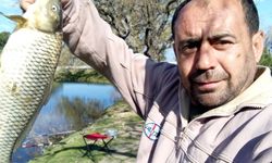 Aydın’da acı son: Talihsiz motosiklet sürücüsü hayatını kaybetti