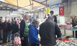 Kuşadası'nda balık tezgahlarında hamsi bereketi başladı