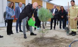 "Orman yoksa su da yok, yaşam da yok"