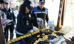 Başkan Günel’den sokak lezzetlerine sıkı takip