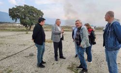 Buharkent’te incir fidanlarında gelişim gözlemi yapıldı