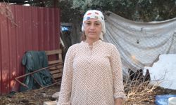 Didimli küçükbaş üretici yetkililere çağrı yaptı