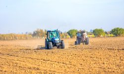 Didim'de toprağın bereketi halkla buluşuyor