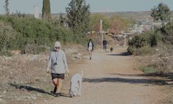 Didim’deki patili dostlar için ortak duyarlılık çağrısı