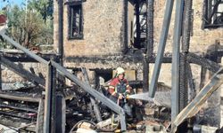 Didim'deki yangın iş yerini yok etti