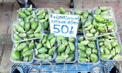 Gören tezgaha bir daha bakıyor: Nazilli'de "feijoa" ilgi odağı oldu