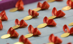 Altın fiyatları yükselmeye devam ediyor: Gram altın ne kadar oldu?