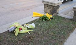 Aydın'da acı kaza: Pazardan dönen yaşlı adama otomobil çarptı