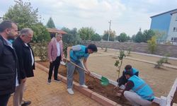 Karacasu Belediyesi, yurt bahçesini yeşillendirdi