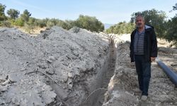 Karacasu'da tarlasına giden emekli öğretmen şok yaşadı