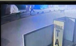 Sokak köpeğini vurmuştu: Emekli astsubay serbest kaldı